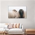 Picture of Good Talk _GroupedProduct_Rectangle_Landscape_Photography _GroupedProduct_Rectangle_Landscape_Canvas_Framed_