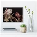 Picture of Beautiful Blooms _GroupedProduct_Rectangle_Landscape_Photography _GroupedProduct_Rectangle_Landscape_Canvas_Framed_