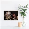 Picture of Beautiful Blooms _GroupedProduct_Rectangle_Landscape_Photography _GroupedProduct_Rectangle_Landscape_Canvas_Framed_