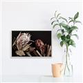 Picture of Beautiful Blooms _GroupedProduct_Rectangle_Landscape_Photography _GroupedProduct_Rectangle_Landscape_Canvas_Framed_