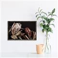 Picture of Beautiful Blooms _GroupedProduct_Rectangle_Landscape_Photography _GroupedProduct_Rectangle_Landscape_Canvas_Framed_