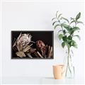 Picture of Beautiful Blooms _GroupedProduct_Rectangle_Landscape_Photography _GroupedProduct_Rectangle_Landscape_Canvas_Framed_