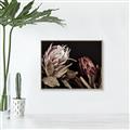 Picture of Beautiful Blooms _GroupedProduct_Rectangle_Landscape_Photography _GroupedProduct_Rectangle_Landscape_Canvas_Framed_