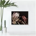Picture of Beautiful Blooms _GroupedProduct_Rectangle_Landscape_Photography _GroupedProduct_Rectangle_Landscape_Canvas_Framed_