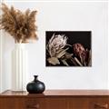 Picture of Beautiful Blooms _GroupedProduct_Rectangle_Landscape_Photography _GroupedProduct_Rectangle_Landscape_Canvas_Framed_