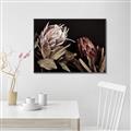 Picture of Beautiful Blooms _GroupedProduct_Rectangle_Landscape_Photography _GroupedProduct_Rectangle_Landscape_Canvas_Framed_