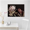 Picture of Beautiful Blooms _GroupedProduct_Rectangle_Landscape_Photography _GroupedProduct_Rectangle_Landscape_Canvas_Framed_