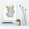 Picture of Antiqued Leaves II _GroupedProduct_Rectangle_Portrait_Unframed_Print_Only_