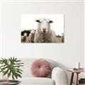 Picture of Sheepily _GroupedProduct_Rectangle_Landscape_Photography _GroupedProduct_Rectangle_Landscape_Unframed_Print_Only_