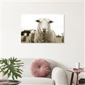 Picture of Sheepily _GroupedProduct_Rectangle_Landscape_Photography _GroupedProduct_Rectangle_Landscape_Unframed_Print_Only_