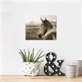 Picture of Horse & the Horizon _GroupedProduct_Rectangle_Landscape_Photography _GroupedProduct_Rectangle_Landscape_Unframed_Print_Only_