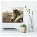 Picture of Horse & the Horizon _GroupedProduct_Rectangle_Landscape_Photography _GroupedProduct_Rectangle_Landscape_Unframed_Print_Only_