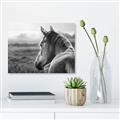 Picture of Horse & the Horizon _GroupedProduct_Rectangle_Landscape_Photography _GroupedProduct_Rectangle_Landscape_Unframed_Print_Only_