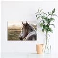 Picture of Horse & the Horizon _GroupedProduct_Rectangle_Landscape_Photography _GroupedProduct_Rectangle_Landscape_Unframed_Print_Only_