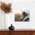 Picture of Horse & the Horizon _GroupedProduct_Rectangle_Landscape_Photography _GroupedProduct_Rectangle_Landscape_Unframed_Print_Only_