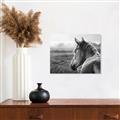 Picture of Horse & the Horizon _GroupedProduct_Rectangle_Landscape_Photography _GroupedProduct_Rectangle_Landscape_Unframed_Print_Only_