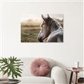 Picture of Horse & the Horizon _GroupedProduct_Rectangle_Landscape_Photography _GroupedProduct_Rectangle_Landscape_Unframed_Print_Only_