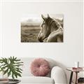 Picture of Horse & the Horizon _GroupedProduct_Rectangle_Landscape_Photography _GroupedProduct_Rectangle_Landscape_Unframed_Print_Only_