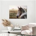 Picture of Horse & the Horizon _GroupedProduct_Rectangle_Landscape_Photography _GroupedProduct_Rectangle_Landscape_Unframed_Print_Only_