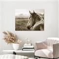 Picture of Horse & the Horizon _GroupedProduct_Rectangle_Landscape_Photography _GroupedProduct_Rectangle_Landscape_Unframed_Print_Only_