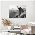 Picture of Horse & the Horizon _GroupedProduct_Rectangle_Landscape_Photography _GroupedProduct_Rectangle_Landscape_Unframed_Print_Only_