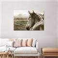 Picture of Horse & the Horizon _GroupedProduct_Rectangle_Landscape_Photography _GroupedProduct_Rectangle_Landscape_Unframed_Print_Only_