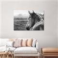 Picture of Horse & the Horizon _GroupedProduct_Rectangle_Landscape_Photography _GroupedProduct_Rectangle_Landscape_Unframed_Print_Only_