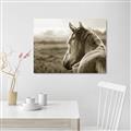Picture of Horse & the Horizon _GroupedProduct_Rectangle_Landscape_Photography _GroupedProduct_Rectangle_Landscape_Unframed_Print_Only_