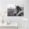 Picture of Horse & the Horizon _GroupedProduct_Rectangle_Landscape_Photography _GroupedProduct_Rectangle_Landscape_Unframed_Print_Only_