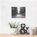 Picture of Foggy Straight Redwood Highway _GroupedProduct_Rectangle_Landscape_Photography _GroupedProduct_Rectangle_Landscape_Unframed_Print_Only_