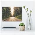 Picture of Foggy Straight Redwood Highway _GroupedProduct_Rectangle_Landscape_Photography _GroupedProduct_Rectangle_Landscape_Unframed_Print_Only_