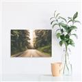 Picture of Foggy Straight Redwood Highway _GroupedProduct_Rectangle_Landscape_Photography _GroupedProduct_Rectangle_Landscape_Unframed_Print_Only_