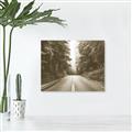 Picture of Foggy Straight Redwood Highway _GroupedProduct_Rectangle_Landscape_Photography _GroupedProduct_Rectangle_Landscape_Unframed_Print_Only_
