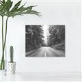 Picture of Foggy Straight Redwood Highway _GroupedProduct_Rectangle_Landscape_Photography _GroupedProduct_Rectangle_Landscape_Unframed_Print_Only_