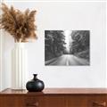 Picture of Foggy Straight Redwood Highway _GroupedProduct_Rectangle_Landscape_Photography _GroupedProduct_Rectangle_Landscape_Unframed_Print_Only_
