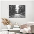 Picture of Foggy Straight Redwood Highway _GroupedProduct_Rectangle_Landscape_Photography _GroupedProduct_Rectangle_Landscape_Unframed_Print_Only_