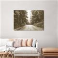 Picture of Foggy Straight Redwood Highway _GroupedProduct_Rectangle_Landscape_Photography _GroupedProduct_Rectangle_Landscape_Unframed_Print_Only_