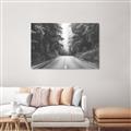 Picture of Foggy Straight Redwood Highway _GroupedProduct_Rectangle_Landscape_Photography _GroupedProduct_Rectangle_Landscape_Unframed_Print_Only_