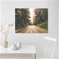 Picture of Foggy Straight Redwood Highway _GroupedProduct_Rectangle_Landscape_Photography _GroupedProduct_Rectangle_Landscape_Unframed_Print_Only_