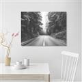 Picture of Foggy Straight Redwood Highway _GroupedProduct_Rectangle_Landscape_Photography _GroupedProduct_Rectangle_Landscape_Unframed_Print_Only_