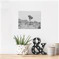 Picture of Dessert Tree _GroupedProduct_Rectangle_Landscape_Photography _GroupedProduct_Rectangle_Landscape_Unframed_Print_Only_