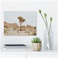 Picture of Dessert Tree _GroupedProduct_Rectangle_Landscape_Photography _GroupedProduct_Rectangle_Landscape_Unframed_Print_Only_