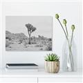 Picture of Dessert Tree _GroupedProduct_Rectangle_Landscape_Photography _GroupedProduct_Rectangle_Landscape_Unframed_Print_Only_