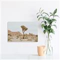 Picture of Dessert Tree _GroupedProduct_Rectangle_Landscape_Photography _GroupedProduct_Rectangle_Landscape_Unframed_Print_Only_