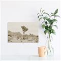 Picture of Dessert Tree _GroupedProduct_Rectangle_Landscape_Photography _GroupedProduct_Rectangle_Landscape_Unframed_Print_Only_