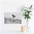 Picture of Dessert Tree _GroupedProduct_Rectangle_Landscape_Photography _GroupedProduct_Rectangle_Landscape_Unframed_Print_Only_