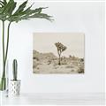 Picture of Dessert Tree _GroupedProduct_Rectangle_Landscape_Photography _GroupedProduct_Rectangle_Landscape_Unframed_Print_Only_
