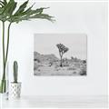 Picture of Dessert Tree _GroupedProduct_Rectangle_Landscape_Photography _GroupedProduct_Rectangle_Landscape_Unframed_Print_Only_
