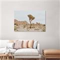 Picture of Dessert Tree _GroupedProduct_Rectangle_Landscape_Photography _GroupedProduct_Rectangle_Landscape_Unframed_Print_Only_