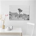 Picture of Dessert Tree _GroupedProduct_Rectangle_Landscape_Photography _GroupedProduct_Rectangle_Landscape_Unframed_Print_Only_
